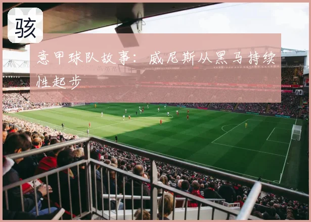 意甲球队故事:威尼斯从黑马持续性起步